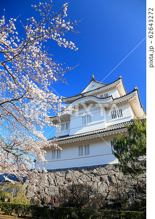 桜と大多喜城 62643272