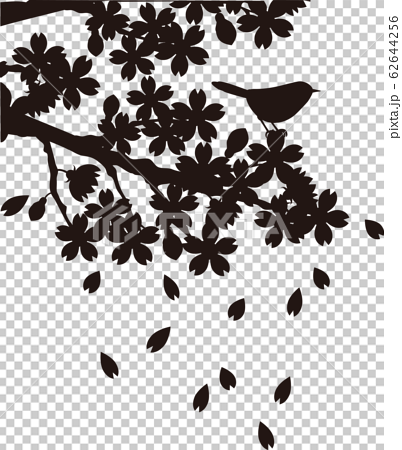 Cherry Blossom Bird Spring Silhouette Stock Illustration