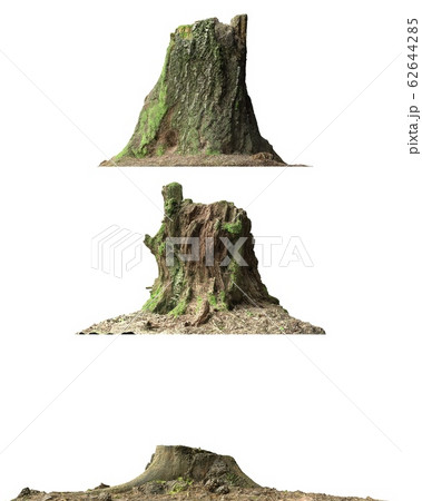 Stump dead tree isolated on white 3d illustration 62644285