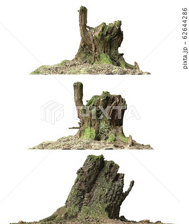 Stump dead tree isolated on white 3d illustration 62644286