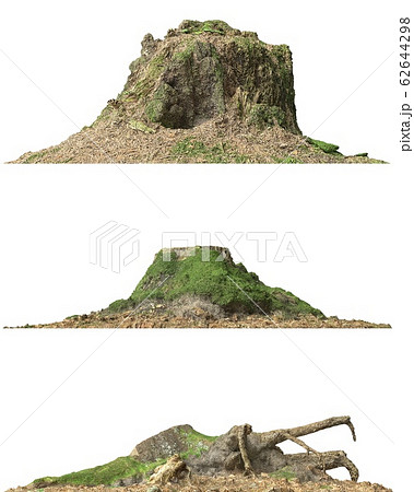 Stump dead tree isolated on white 3d illustration 62644298