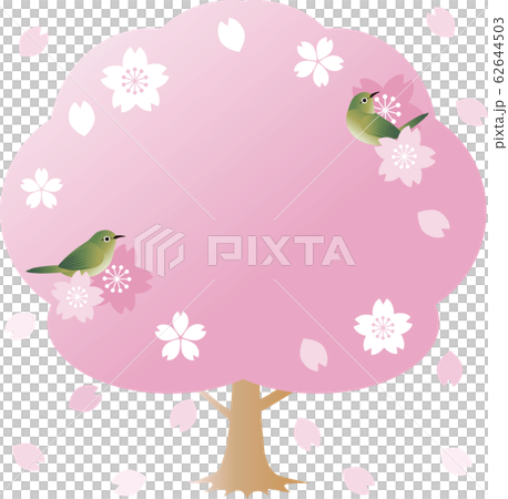 めじろ　さくら　小鳥　春　花　フレーム　コピースペース 62644503