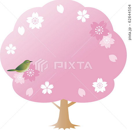 めじろ　さくら　小鳥　春　花　フレーム　コピースペース 62644504
