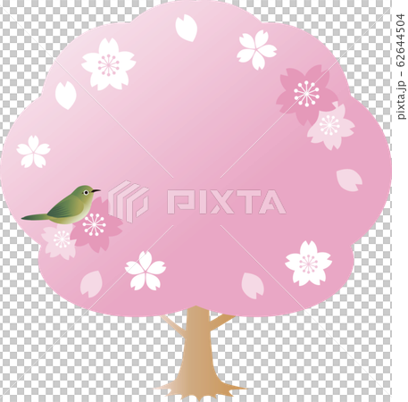めじろ　さくら　小鳥　春　花　フレーム　コピースペース 62644504