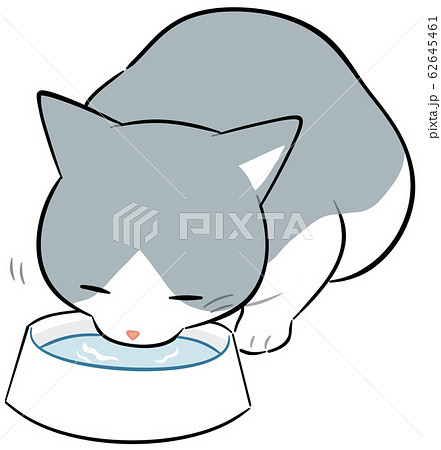 水を飲む猫のイラスト素材