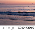 ピンクモーメントの海 62645695
