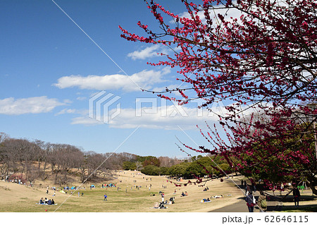 横浜・根岸森林公園 横浜・根岸森林公園 62646115