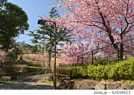 横浜・本牧山頂公園 62646623