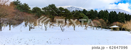 雲仙　池の原冬景色　パノラマ　【長崎県雲仙市】 62647096