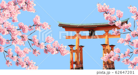 Branch of the blossoming sakura and Floating Torii Branch of the blossoming sakura and Floating Torii 62647201