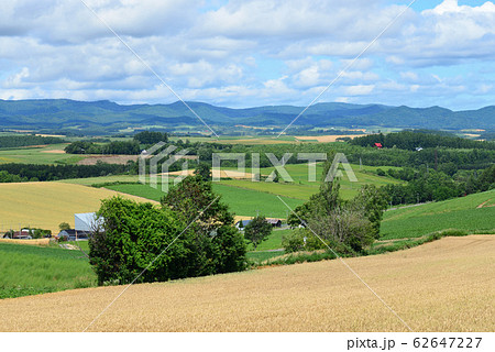 北海道 美瑛の丘 62647227