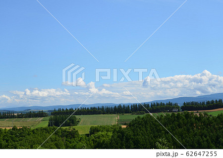 北海道 美瑛の丘 北海道 美瑛の丘 62647255