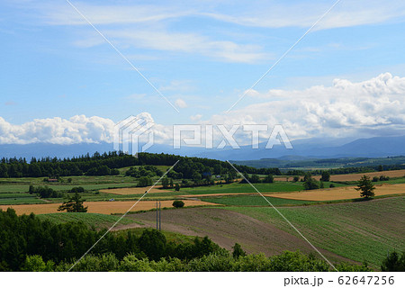 北海道 美瑛の丘 62647256