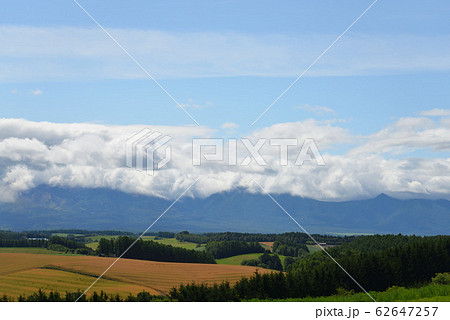 北海道 美瑛の丘 62647257