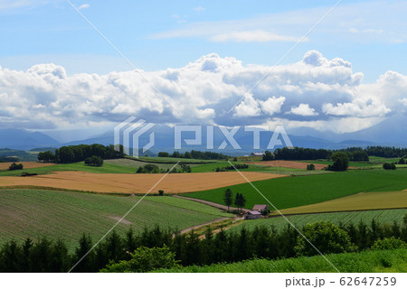 北海道 美瑛の丘 62647259