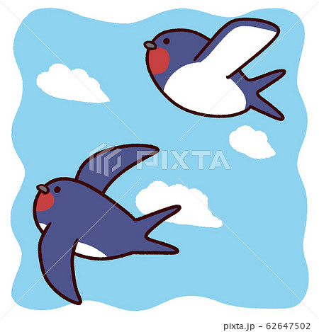 空を飛ぶ二羽のツバメ 正方形背景のイラスト素材