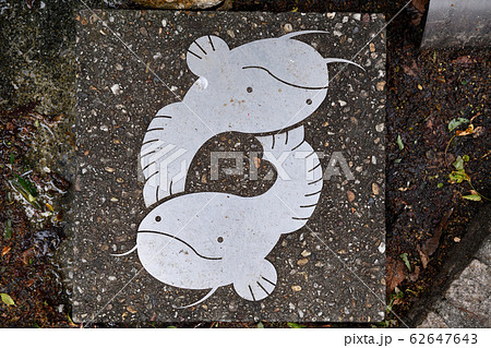 街風景　西宮北口　甲風園 62647643