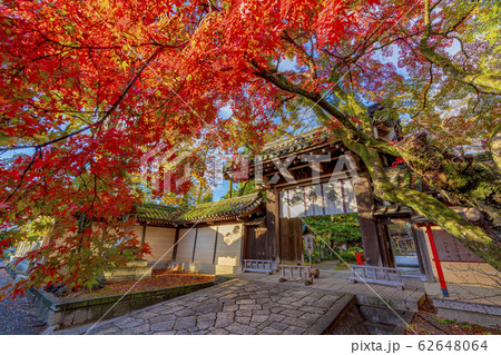 京都 秋の今宮神社 東門  京都 秋の今宮神社 東門  62648064