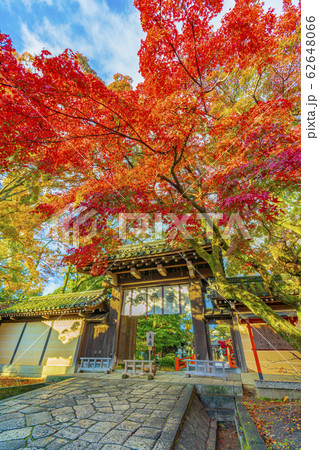 京都 秋の今宮神社 東門  京都 秋の今宮神社 東門  62648066