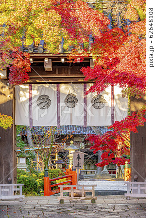 京都　秋の今宮神社　東門　 62648108