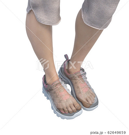 スニーカーの内部 透明 透過 透視 perming3DCGイラスト素材 スニーカーの内部 透明 透過 透視 perming3DCGイラスト素材 62649659