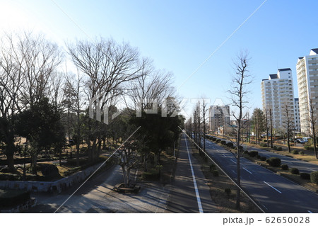 つくば市二の宮、西大通り風景 つくば市二の宮、西大通り風景 62650028