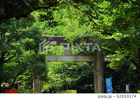 木々の葉に覆われた神社の鳥居 木々の葉に覆われた神社の鳥居 62650174