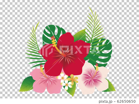 トロピカル夏の花 ハイビスカスのイラスト素材 トロピカル夏の花 ハイビスカスのイラスト素材