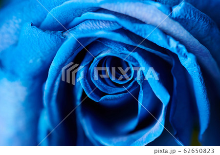 Floral blue background 62650823