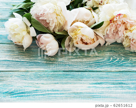 Background with peonies Background with peonies 62651612