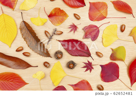 秋の落ち葉とドングリ 62652481