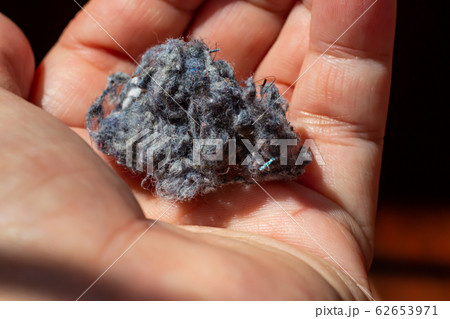 Woman's left hand holding Dust, Fluff, Remnant of clothes on laundry after removing from clothing dryer on white acrylic background, Laundry machine cleaning concept, Close up and macro shot 62653971