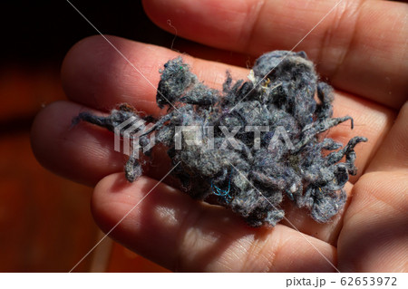 Woman's right hand holding Dust, Fluff, Remnant of clothes on laundry after removing from clothing dryer on white acrylic background, Laundry machine cleaning concept, Close up and macro shot 62653972