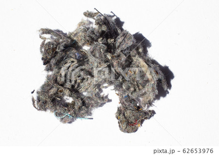 Dust, Fluff, Remnant of clothes on laundry after removing from clothing dryer on white background, Laundry machine cleaning concept, Close up and macro shot Dust, Fluff, Remnant of clothes on laundry after removing from clothing dryer on white background, Laundry machine cleaning concept, Close up and macro shot 62653976