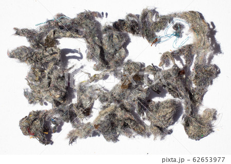 Dust, Fluff, Remnant of clothes on laundry after removing from clothing dryer on white background, Laundry machine cleaning concept, Close up and macro shot Dust, Fluff, Remnant of clothes on laundry after removing from clothing dryer on white background, Laundry machine cleaning concept, Close up and macro shot 62653977