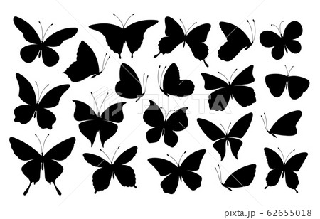Black butterfly silhouettes. Butterflies icons, flying insects. Isolated abstract art spring symbols and tattoo elements vector collection 62655018