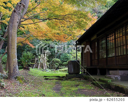 鎌倉・英勝寺　書院と紅葉 62655203