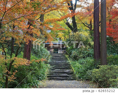 北鎌倉・秋の浄智寺 62655212