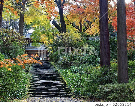 北鎌倉・秋の浄智寺 62655214