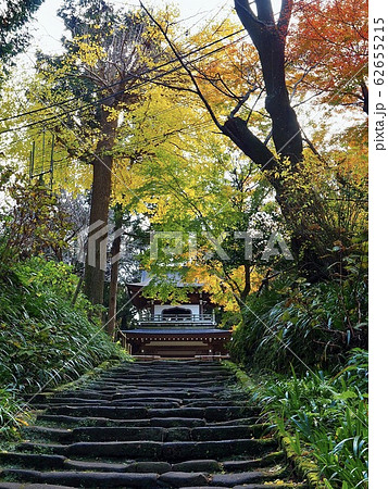 北鎌倉・秋の浄智寺 62655215