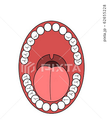 口の中のイラスト素材