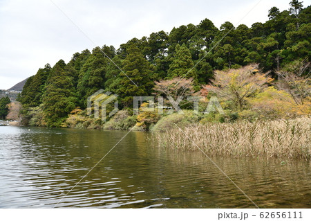 秋の箱根 62656111