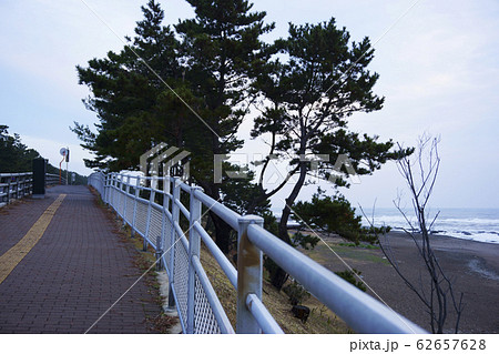 大洗海岸のそばの歩道 大洗海岸のそばの歩道 62657628