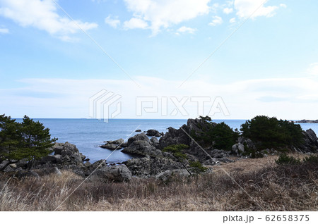 冬の種差海岸 62658375