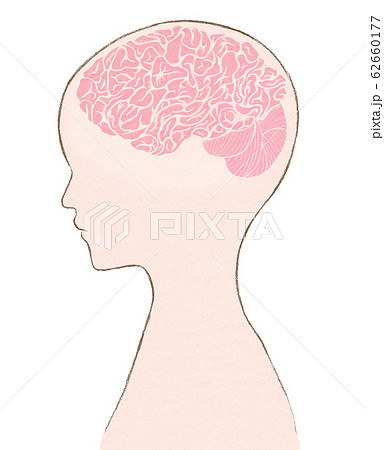 人間と脳みそのイラスト 横向きの人の脳内シルエットのイラスト素材