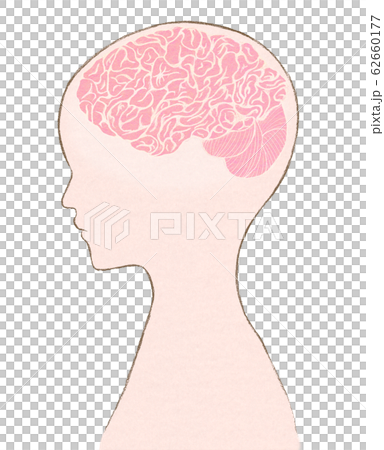 人和腦的例證人腦水平的剪影 62660177
