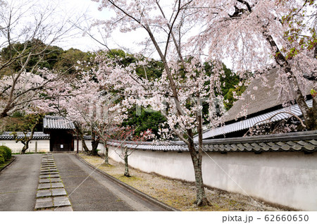 天野山金剛寺 62660650