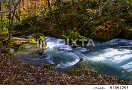 Oirase Stream in sunny day, beautiful fall foliage 62661063