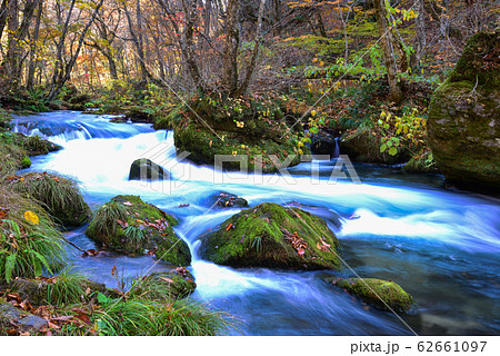 Oirase Stream in sunny day, beautiful fall foliage Oirase Stream in sunny day, beautiful fall foliage 62661097