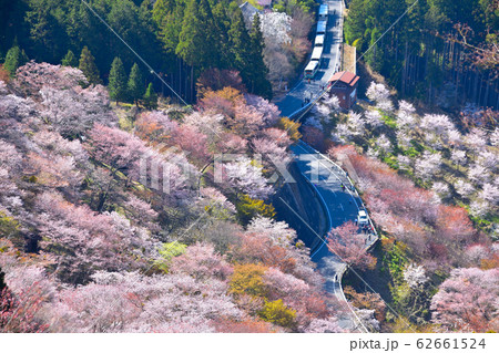桜景 吉野山 桜景 吉野山 62661524